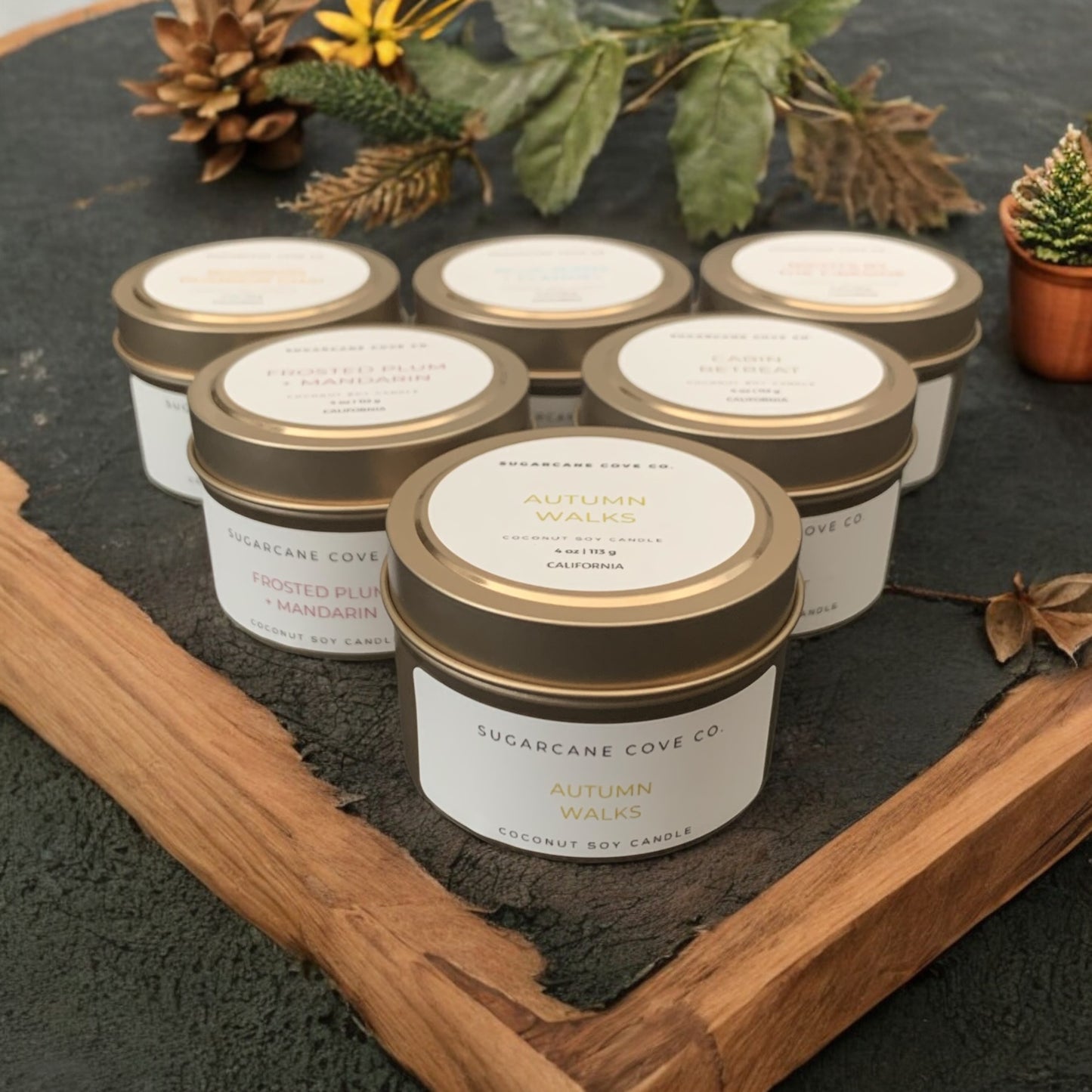 Fall Candle Discovery Box (4oz x 6)